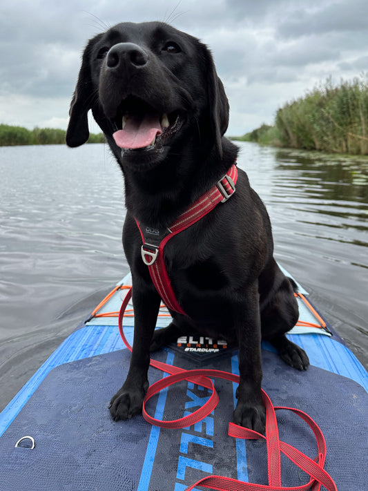 Griplijn paars 1,75 meter