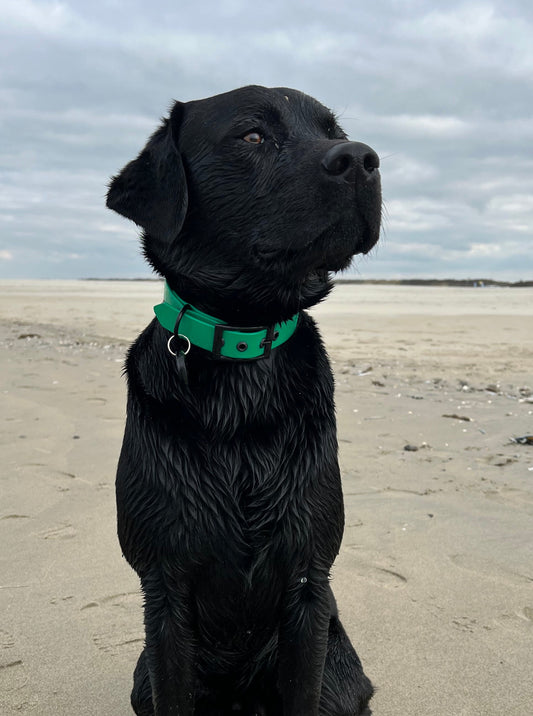 Biothane halsband 25mm